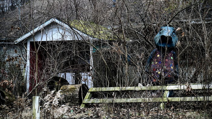 Deer Forest - January 2024 Photo From Dan Keeley (newer photo)